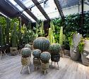«Зеленый дом» в Туле: вертикальное озеленение, real-touch цветы и стильные подарки