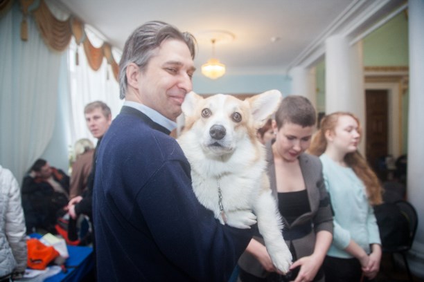 В Туле прошла Всероссийская выставка собак - Новости Тулы и области – Фотогалерея, фото 1 -