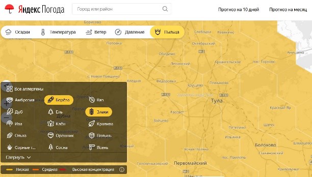 Карта пыльцы новосибирск