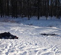 В Центральном парке нашли мертвого лыжника