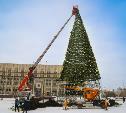 В Туле на площади Ленина разбирают главную новогоднюю ёлку