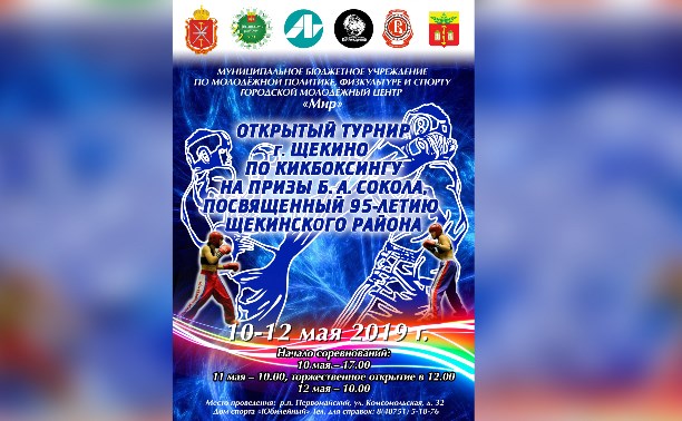Сильнейшие кикбоксеры ЦФО выступят на турнире в Тульской области