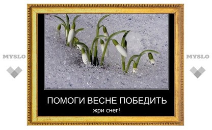 Онищенко: «Не стоит есть снег, от него выпадают зубы»
