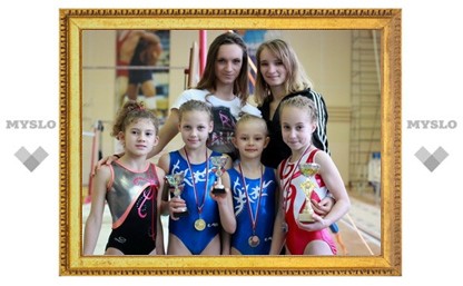 Тульские гимнастки отличились в Новомосковске