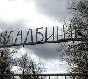 Туляки о строительстве нового кладбища в Пролетарском районе: «Мы не хотим дома с видом на погост!»