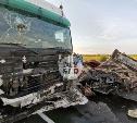 В массовом ДТП с грузовиком в Туле погиб мужчина