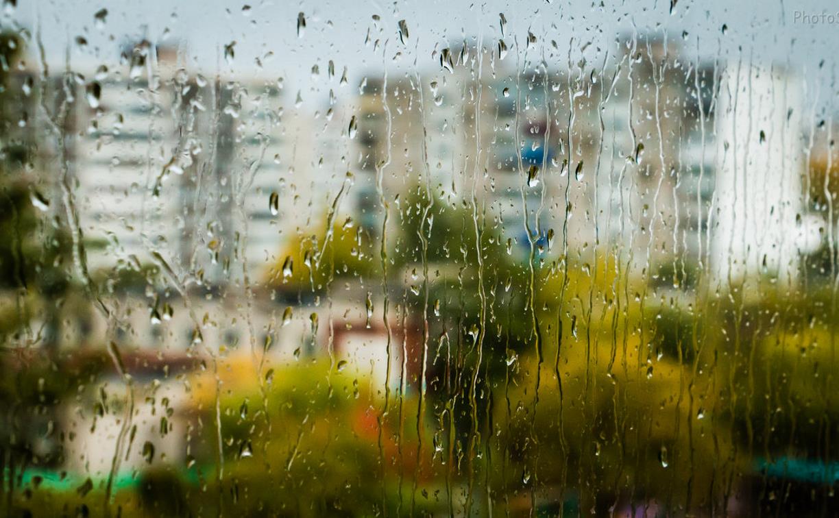 Погода в Туле 30 июля: дожди, грозы, ветер и жара