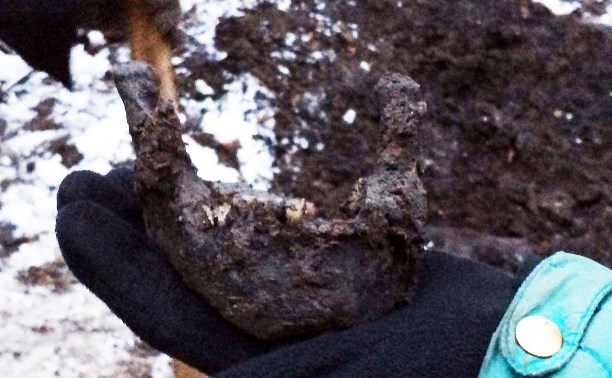 Археологи о человеческих останках на Металлистов в Туле: «Рабочие раскопали древнее захоронение»
