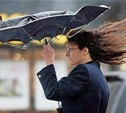 МЧС предупреждает о резком усилении ветра