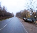 В Алексинском районе ВАЗ врезался в дерево