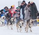 Катание на собачьих упряжках и в санях: Куликово поле приглашает туляков на праздник «Большой тур»