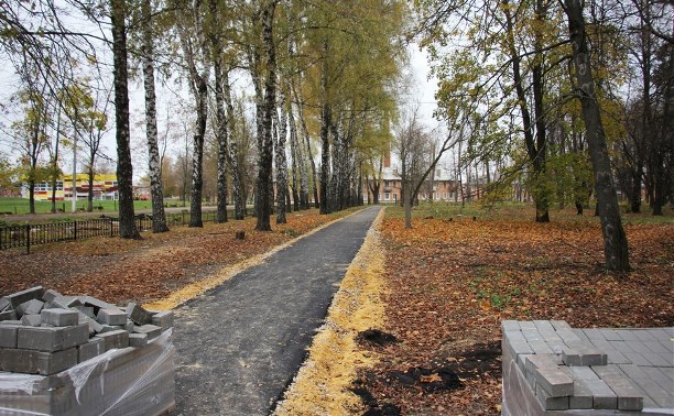 В начале ноября в Новомосковске откроется парк в Сокольниках