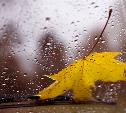 Погода в Туле 8 сентября: прохладно и дождь с грозой