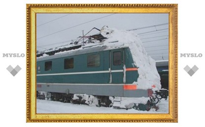 Снегопад не остановил тульские поезда!
