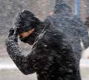 Погода в Туле 28 января: мокрый снег, гололед и оттепель