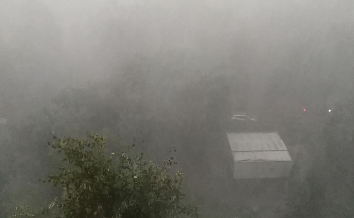 Погода в Туле 19 сентября: сильные дожди и до +12