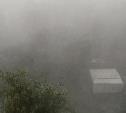 Погода в Туле 19 сентября: сильные дожди и до +12