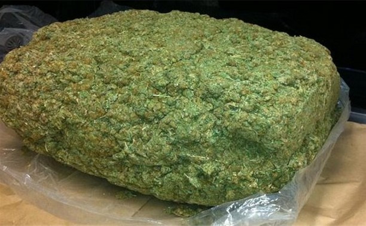 Как выглядит 1 кг марихуаны сколько держись марихуана в организме человека