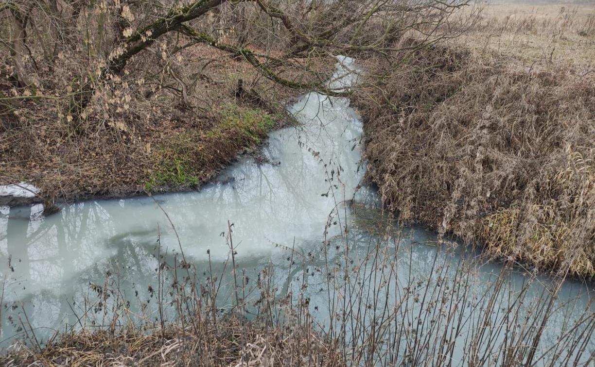 Экологическая катастрофа: туляки сообщили о сильнейшем загрязнении рек Бобрик и Дон
