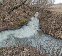 Экологическая катастрофа: туляки сообщили о сильнейшем загрязнении рек Бобрик и Дон