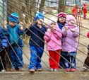Тульская область стала лидером по количеству открытых мест в детских садах