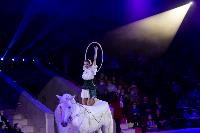Хоровод в Тульском цирке, Фото: 47
