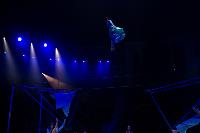 Хоровод в Тульском цирке, Фото: 118