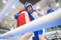 Чемпионат Тульской области по боксу, Фото: 50