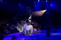 Хоровод в Тульском цирке, Фото: 110