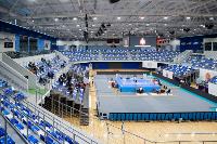 Чемпионат Тульской области по боксу, Фото: 67