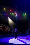 Хоровод в Тульском цирке, Фото: 95