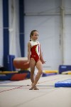 Спортивная гимнастика в Туле 3.12, Фото: 136