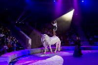 Хоровод в Тульском цирке, Фото: 106