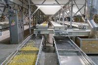 Как Тульская макаронная фабрика повысила производительность труда, Фото: 12