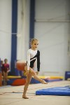 Спортивная гимнастика в Туле 3.12, Фото: 75