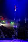 Хоровод в Тульском цирке, Фото: 97