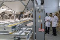 Как Тульская макаронная фабрика повысила производительность труда, Фото: 24