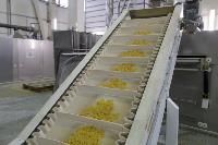 Как Тульская макаронная фабрика повысила производительность труда, Фото: 8