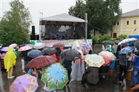 Фестиваль Крапивы - 2014, Фото: 156