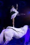Хоровод в Тульском цирке, Фото: 109