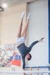 Мужская спортивная гимнастика в Туле, Фото: 16