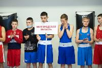 Первенство ЦФО по боксу среди юношей, Фото: 49