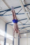 Мужская спортивная гимнастика в Туле, Фото: 14