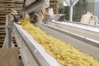 Как Тульская макаронная фабрика повысила производительность труда, Фото: 18