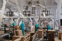 Как Тульская макаронная фабрика повысила производительность труда, Фото: 40