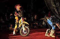 Цирк "Максимус" и тигрица в гостях у Myslo, Фото: 22