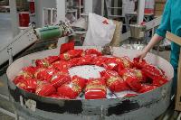Как Тульская макаронная фабрика повысила производительность труда, Фото: 26
