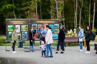 Фестиваль Юный художник в Платоновском парке, Фото: 43