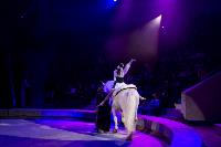Хоровод в Тульском цирке, Фото: 105