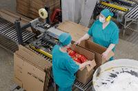 Как Тульская макаронная фабрика повысила производительность труда, Фото: 43